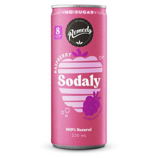 Remedy Sodaly Raspberry Can 250mL