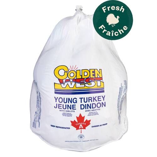 Fresh Turkey