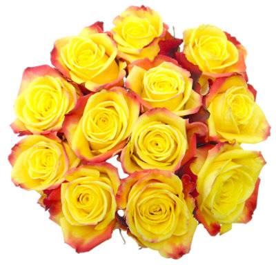 Rose Color Dozen Bouquet (2.18 lbs)