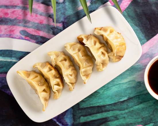 Vegan Vegetable Gyoza