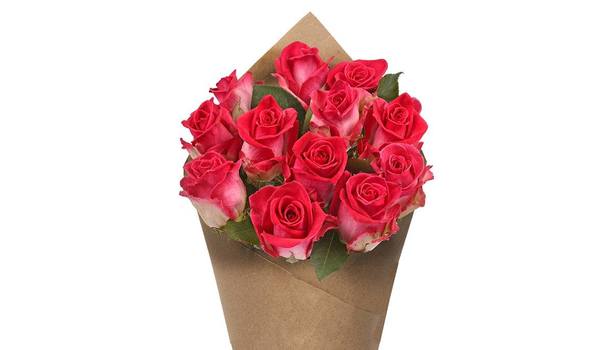 Dozen Rose Bunch - Hot Pink