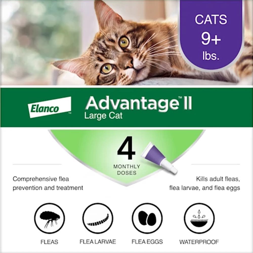 Elanco Advantage Ii Liquid Cat Flea Drops Imidacloprid/Pyriproxyfen 0.108 Oz