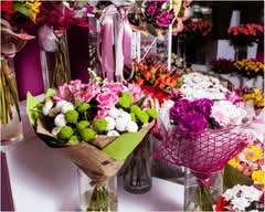 Rose Bliss (St Clair Ave E)