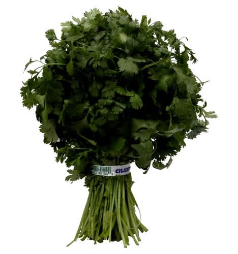 Fresh Cilantro (Corriander)