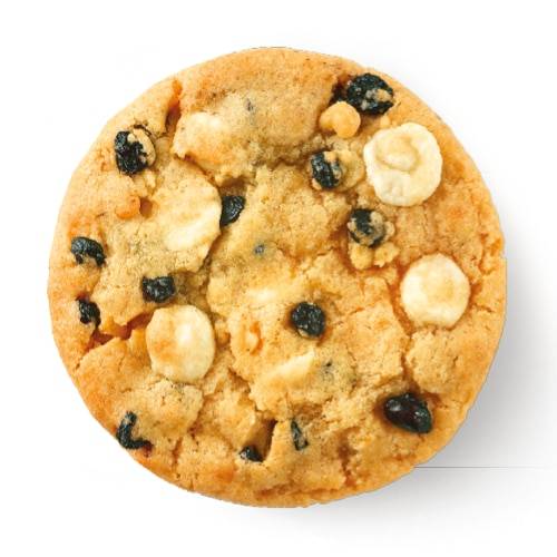 Blueberry Cookie