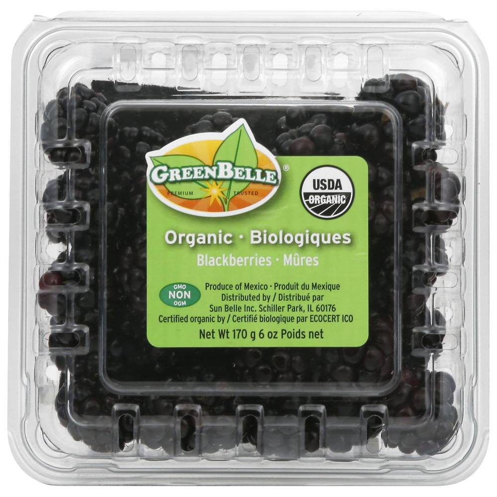 Organic Blackberries