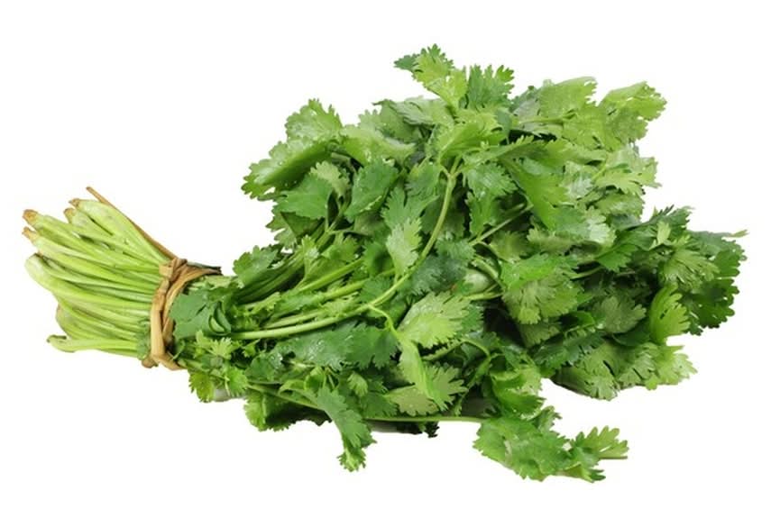 Coriander