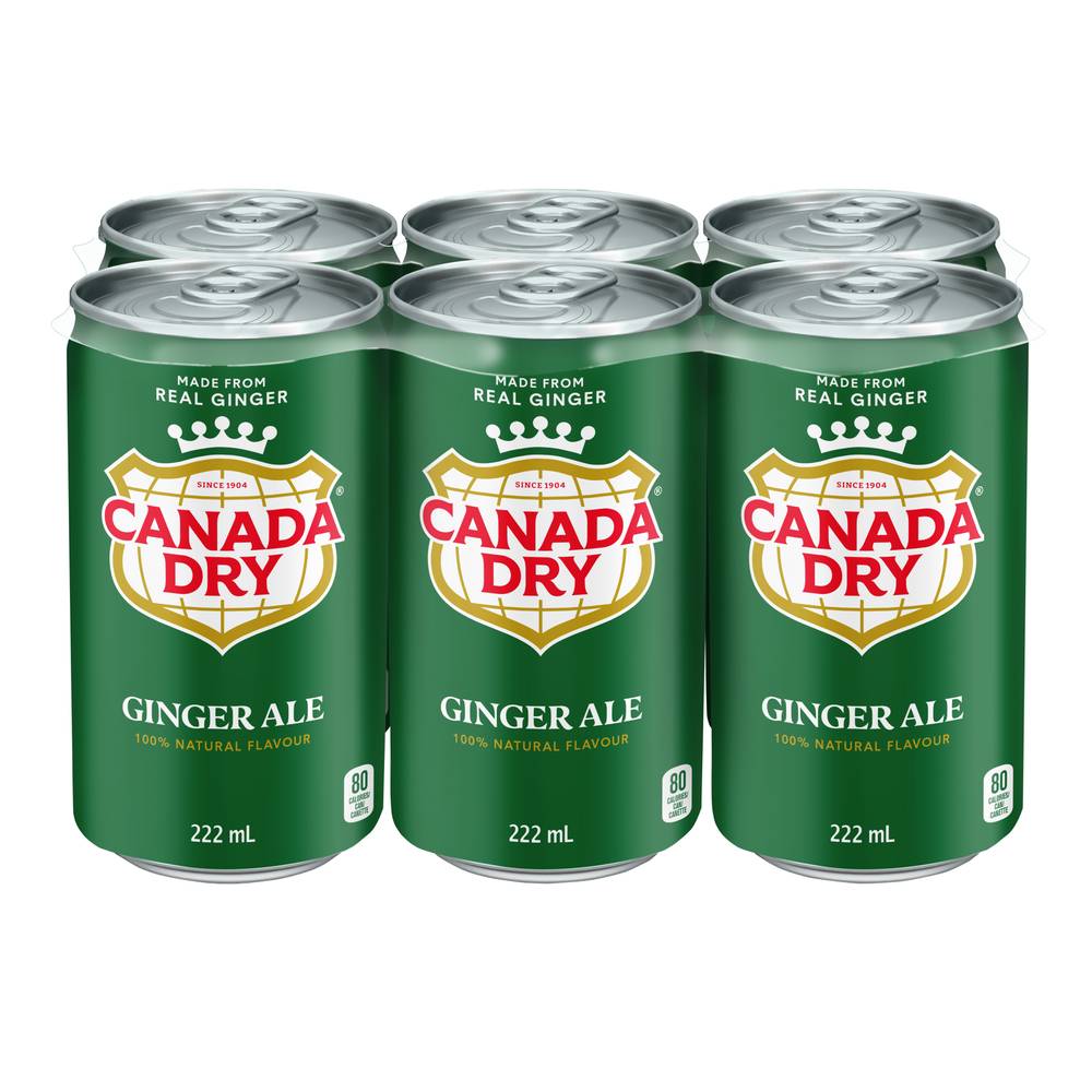 Canada Dry Ginger Ale (6 x 222 ml)