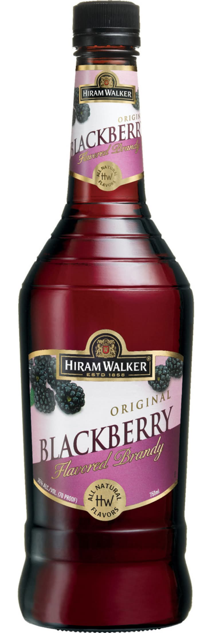 Hiram Walker Original Brandy, Blackberry (750 ml)