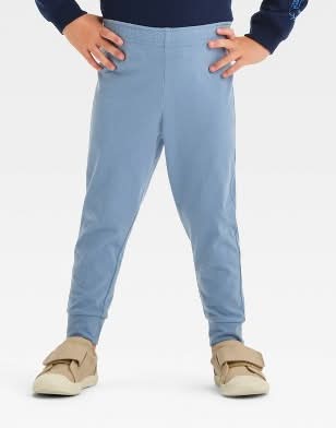 Cat & Jack Toddler Boy's Jersey Jogger Pants, 2T, Blue
