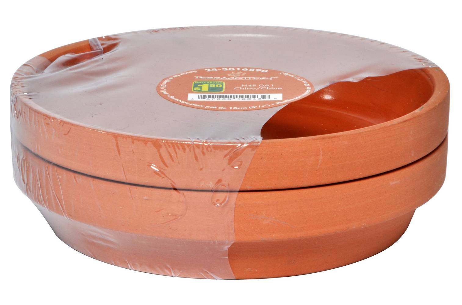 Glazed Terracotta Pot Saucer (2 ct)