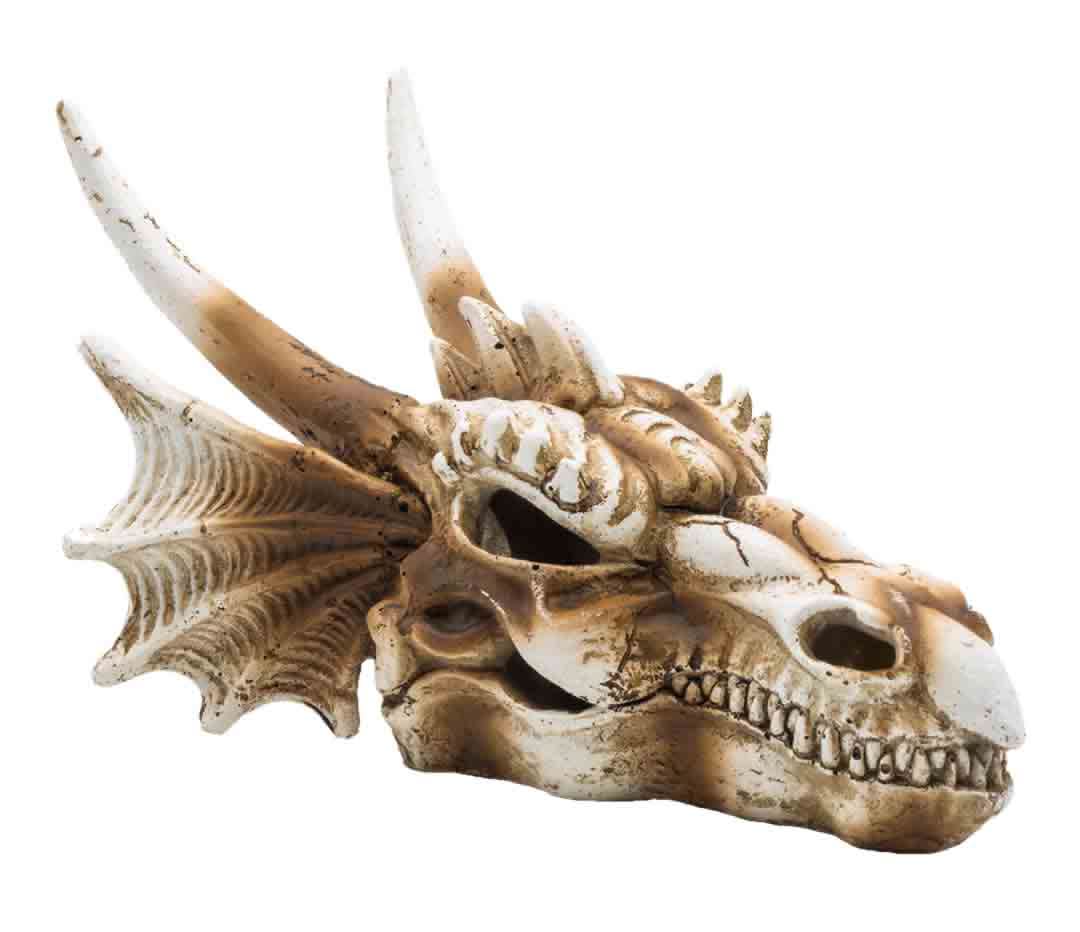 ProRep Dragon Skull Reptile Terrarium Accessory