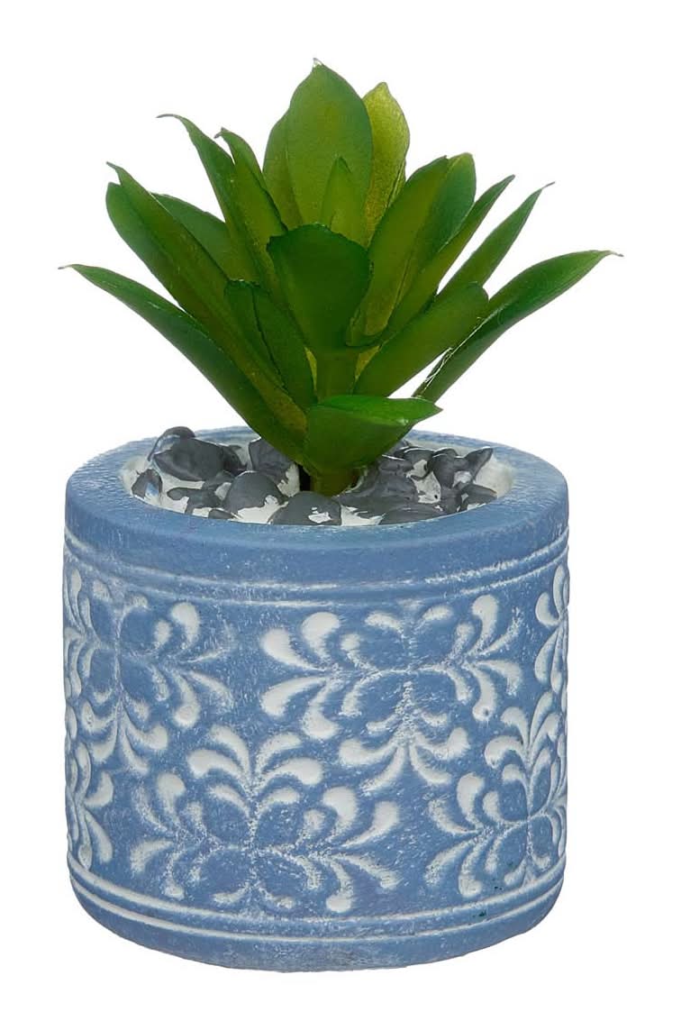 Terracotta Planter With Succulent Small Assorted