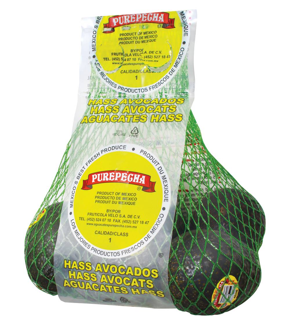 Purepecha · Aguacate hass