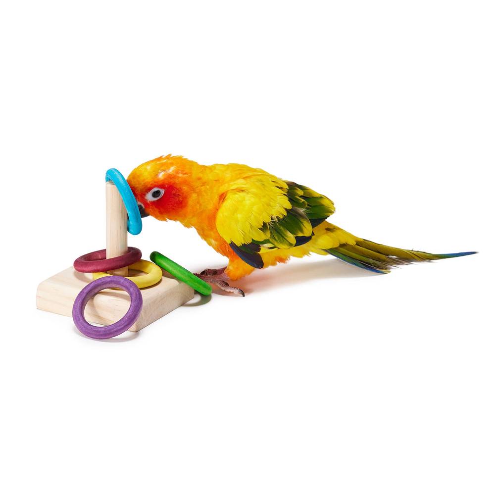 All Living Things® Ring Toss Bird Toy (Size: Medium)