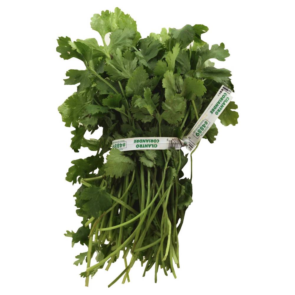 Cilantro 1 Ea