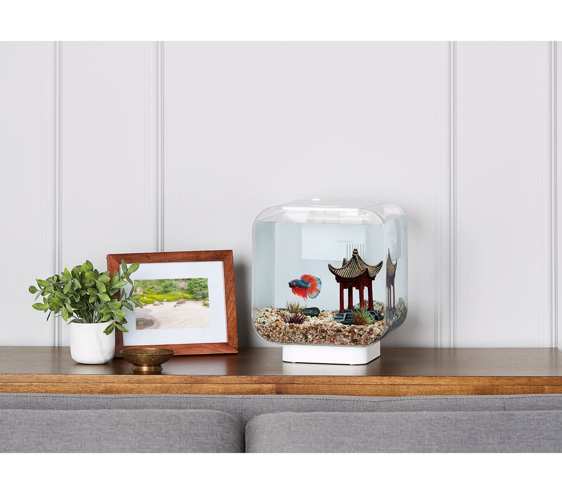 Top Fin® Clear Vivid View Aquarium - 3 Gallon (Size: 3 Gal)