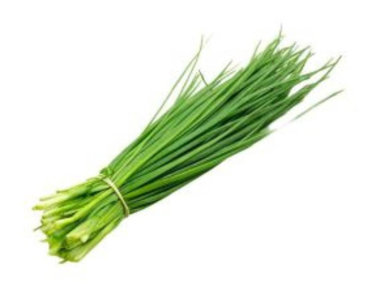 Ciboulette - le bouquet de 20g