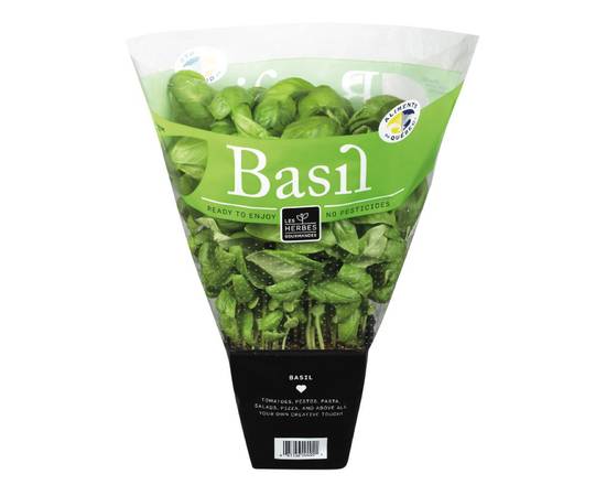 Serres Coulombe · Basilic frais - Fresh basil (1 bunch)