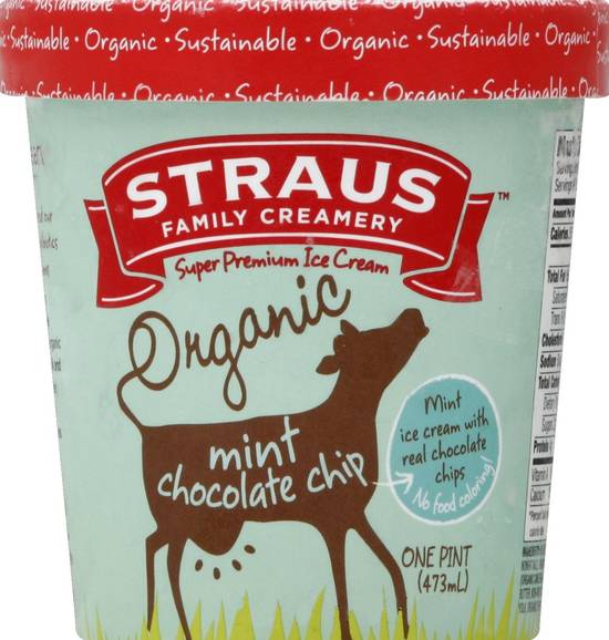 Organic Mint Chocolate Chip Ice Cream Straus 1 pint