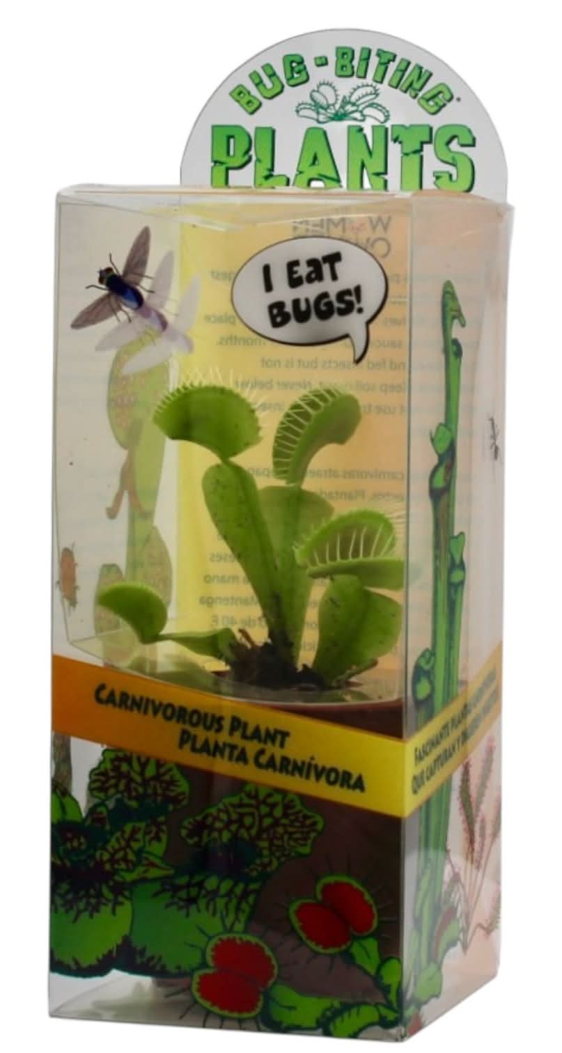 Lowe's White Carnivorous plants House plant in 1 Ounce(s) Terrarium 1 -Pack