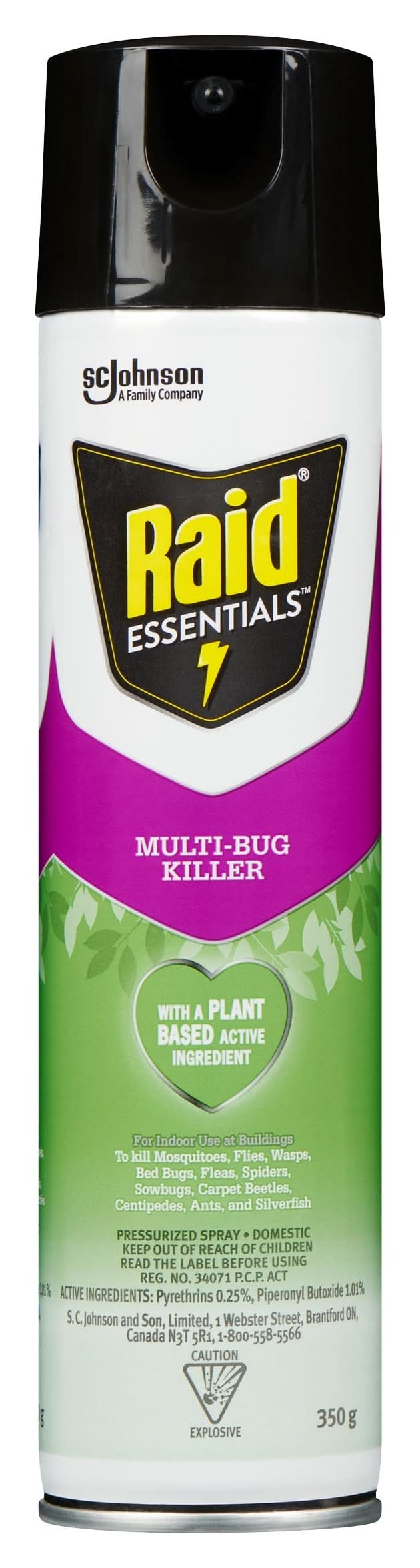 Raid Essentials Multi-Bug Killer Spray (350 g)