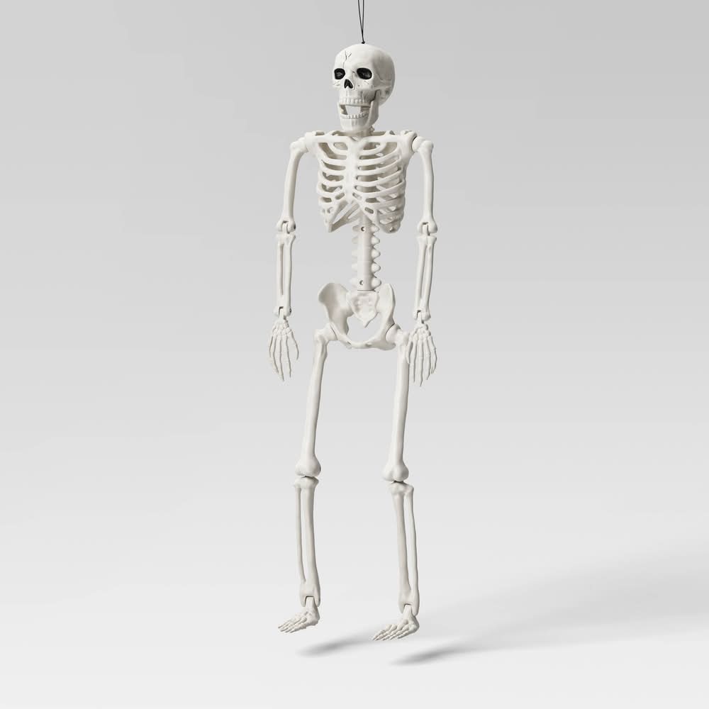 24" Posable Skeleton Halloween Decorative Mannequin - Hyde and EEK! Boutique™: Realistic, Indoor/Outdoor Display