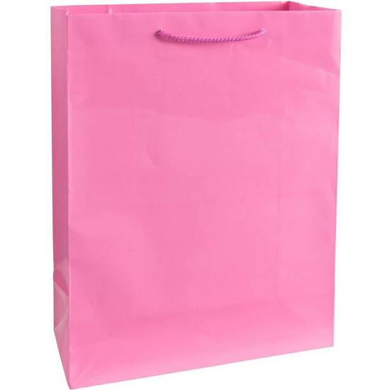 Large Bright Pink Gift Bag