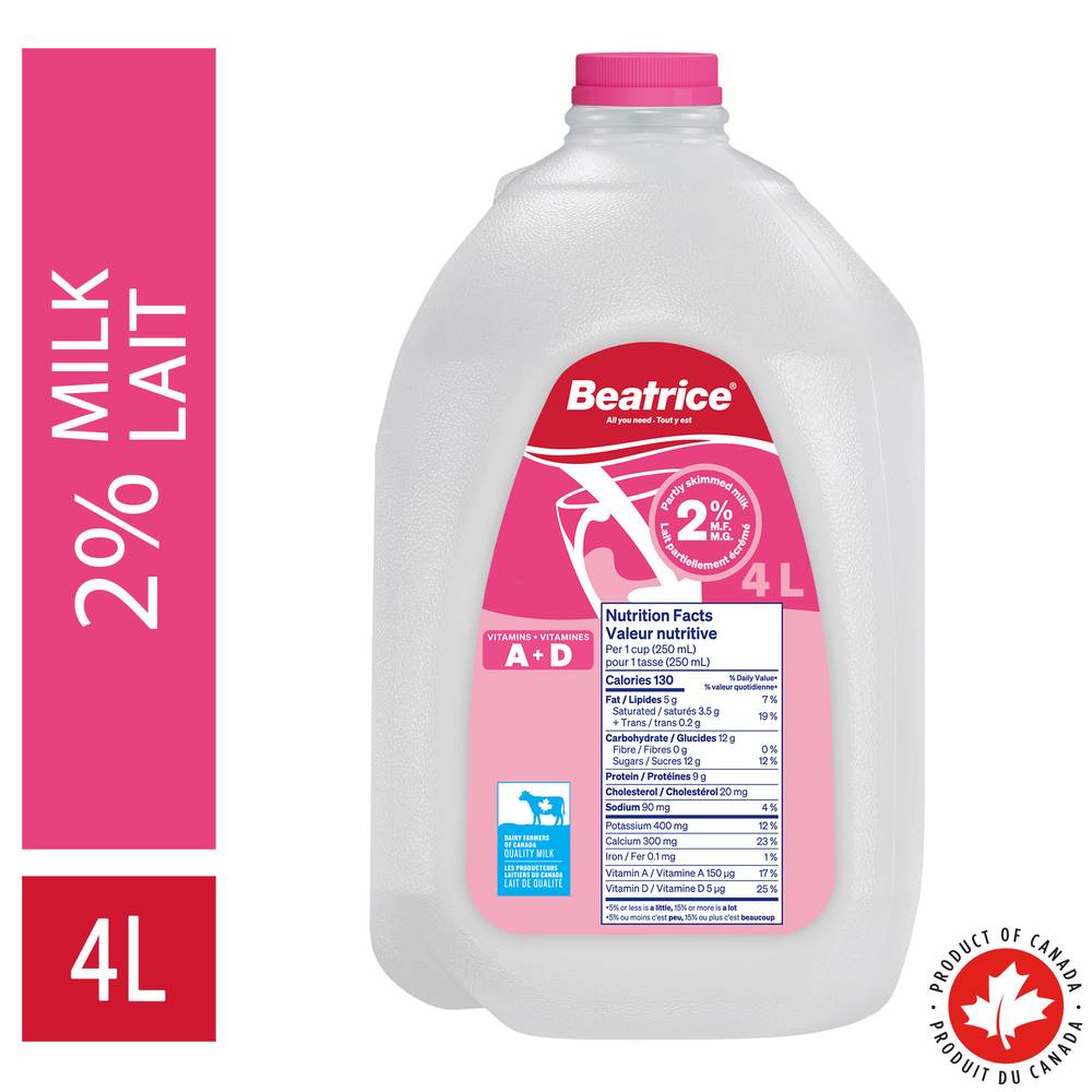 Beatrice Milk (4 L)