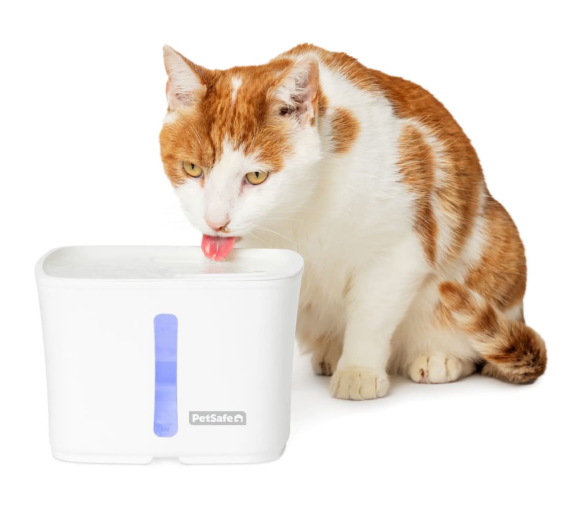 PetSafe® Viva Pet Water Fountain - 1.8L/64 oz - Filters Included (Color: White, Size: 64 Fl Oz)