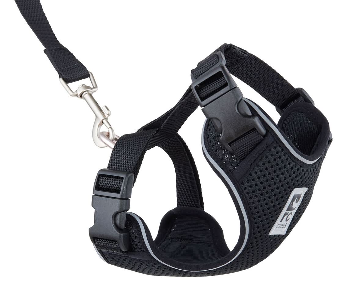 RC Pets Adventure Black Cat Harness & Leash, Large