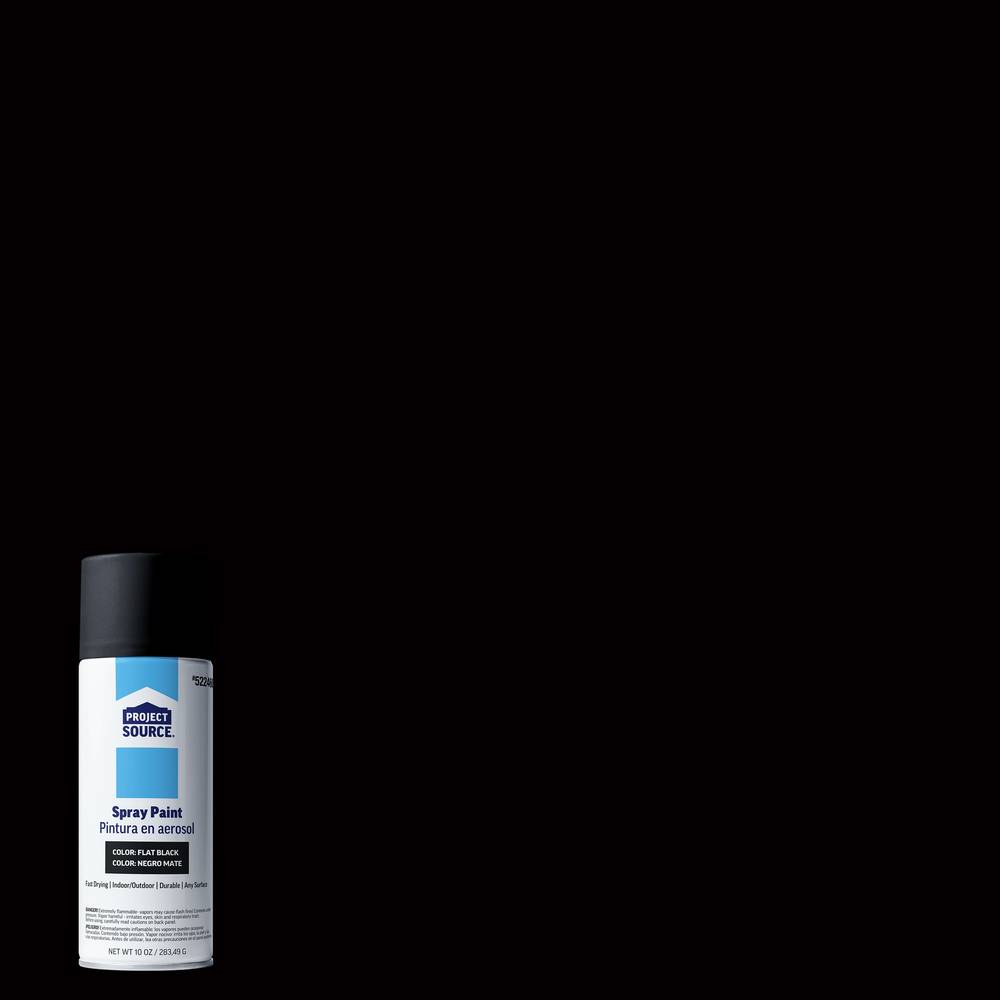 Project Source Gloss Black/Flat Spray Paint (NET WT. 10-oz) | AL89705