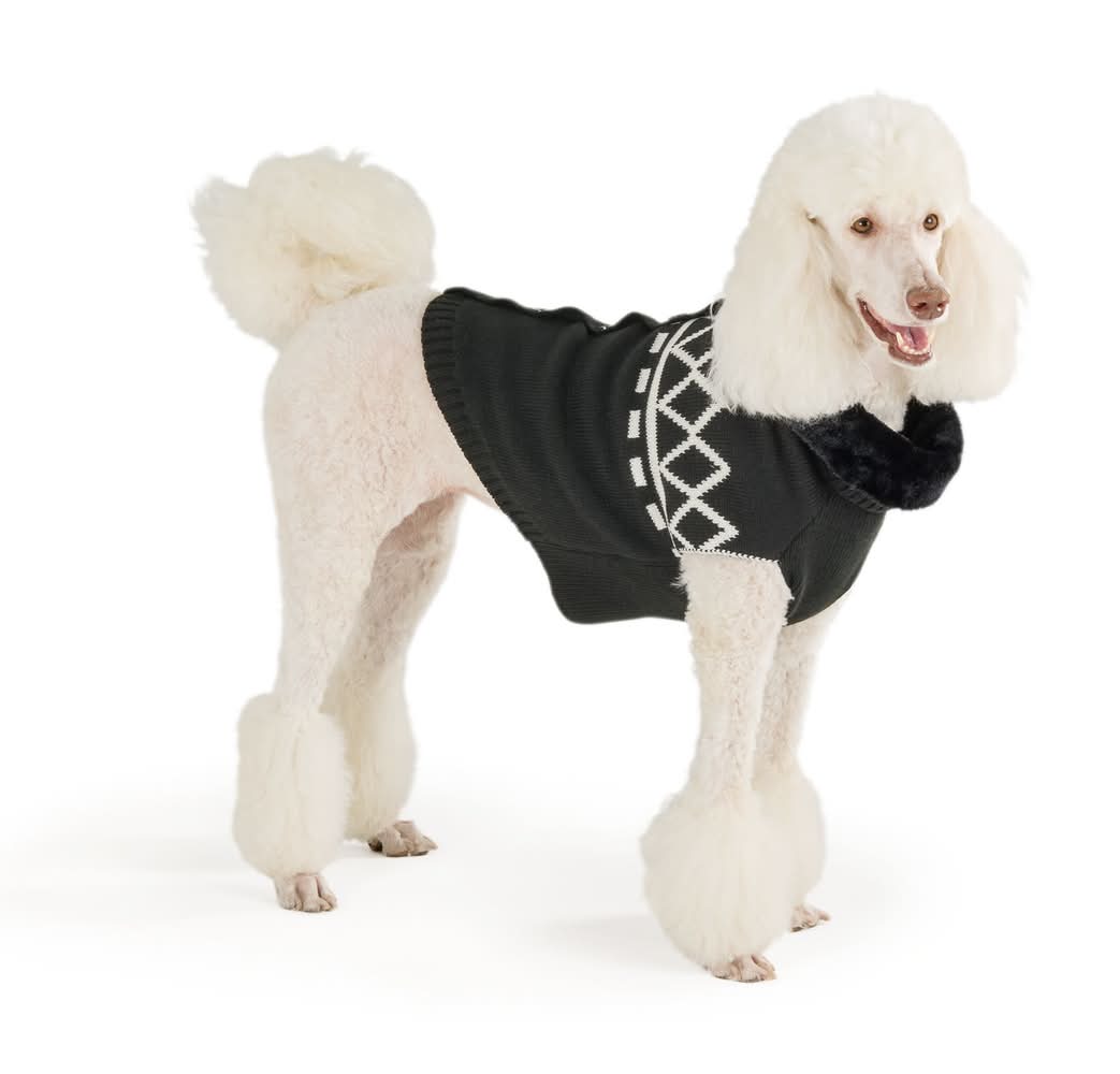Life of the Party® Black Après-Ski Dog Sweater, Multiple Sizes, XS-XL (Color: Black, Size: Large)