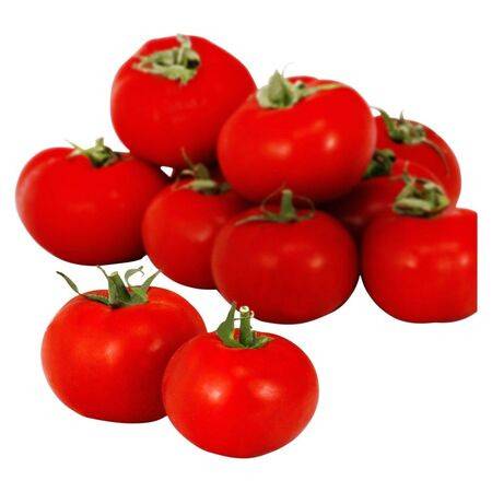 Bio - FID - Tomates rondes bio - 600 g (France)