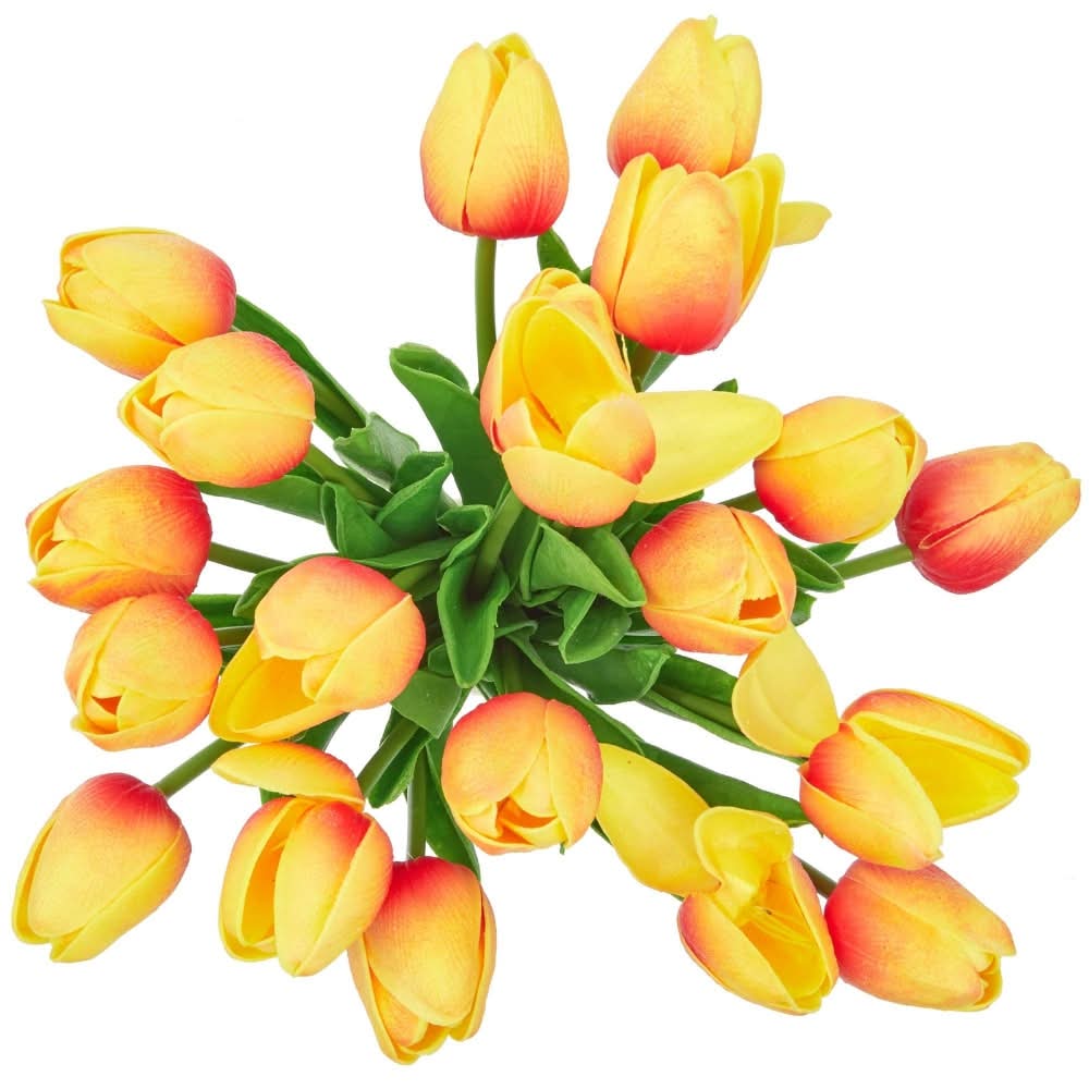 Fresh Cut Rainbow Tulips (20 ct)