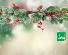 Vindi (San Miguel 🛒 🌱)