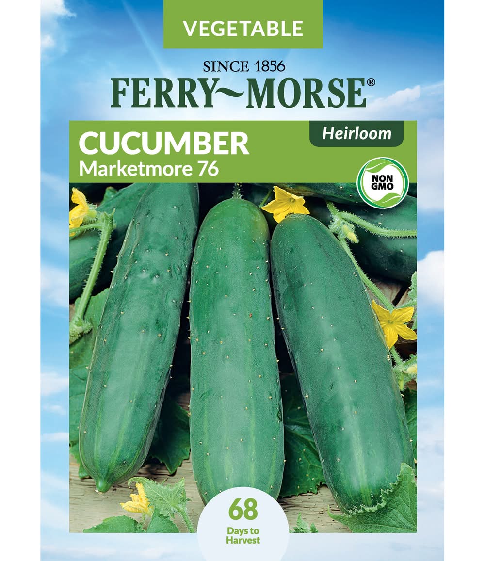 Ferry-Morse Cucumber Seeds 900 Milligram(s)