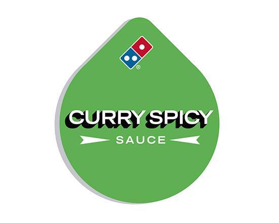 Salsa Curry Spicy