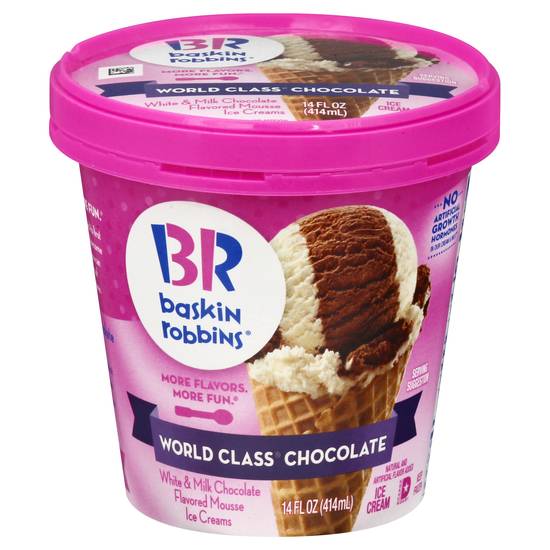 Baskin Robbins World Class Chocolate Ice Cream
