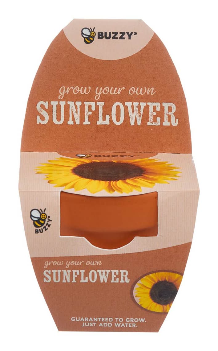 Buzzy Grow Your Own Plant Kit Assorted