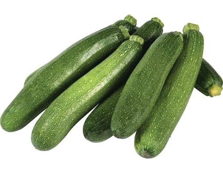 Green Zucchini Squash