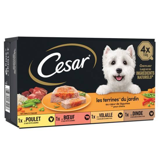 Cesar barquettes en terrine cœur de légumes pour chien 4x150g