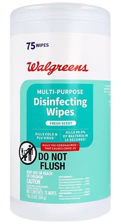 Walgreens Multi-Purpose Disinfecting Wipes (8.9 oz, 75 ct)