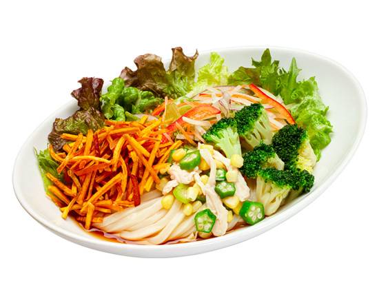 10種野菜のサラダうどん