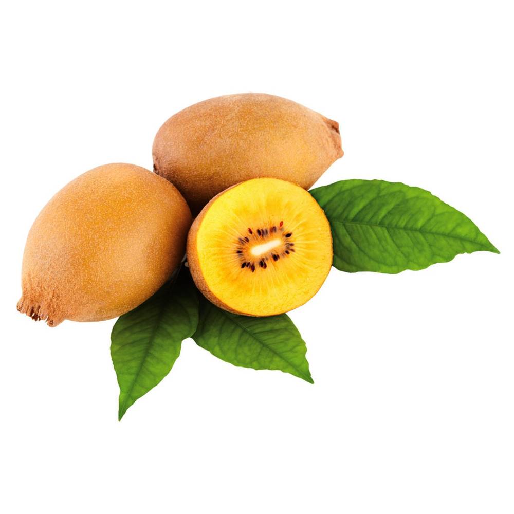 Gold kiwi