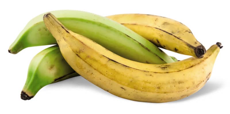 Plantain, each