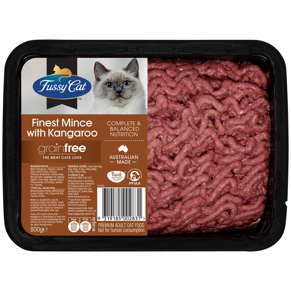 Fussy cat pet fashion food