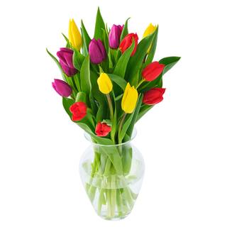 Co-Op Easter British Tulips