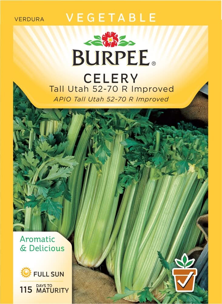 Burpee® Tall Utah 52 - 70 Improved Celery Seeds