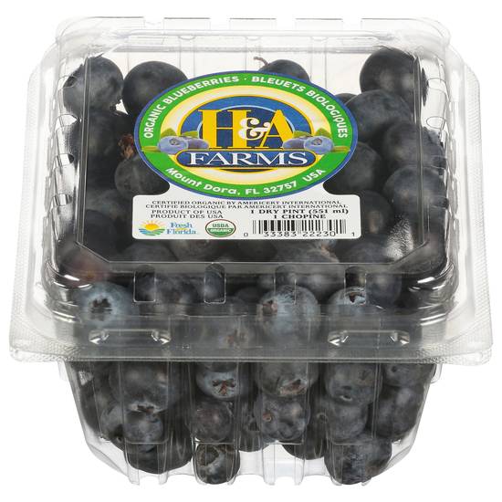 H&A Farms Organic Blueberries